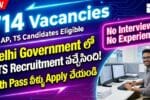 DSSSB MTS Recruitment 2025