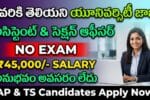 NFSU Jobs 2026 Notification