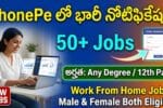 PhonePe Work From Home Jobs 2026 – Apply Online for Remote Roles