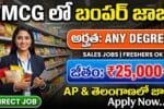 FMCG Sales Jobs 2026