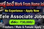 Tele Associate WFH Jobs