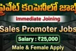 Faber Sales Promoter Jobs